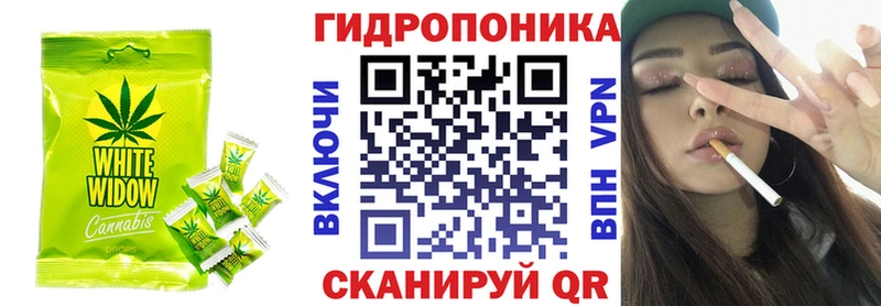 где купить наркотик Сальск kraken зеркало Печенье с ТГК конопля