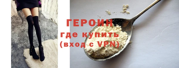 индика Няндома