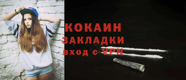 индика Няндома
