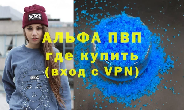 индика Няндома
