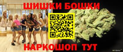 гидра Камышлов