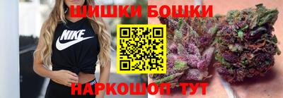 гидра Камышлов