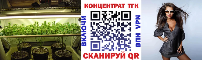 Дистиллят ТГК концентрат  блэк спрут ссылки  Сальск  сколько стоит 