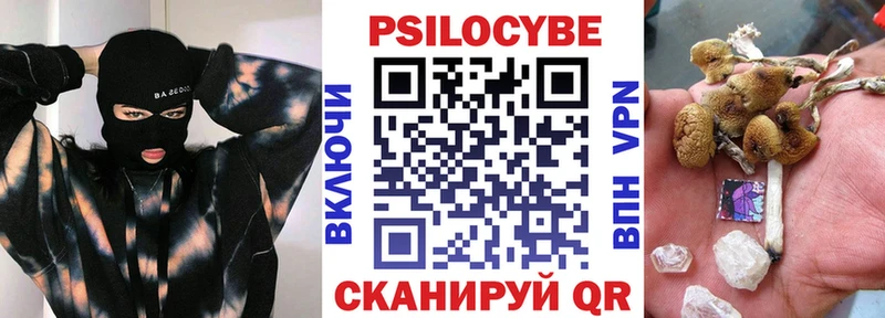 Псилоцибиновые грибы мицелий  купить наркотики сайты  Сальск 